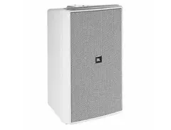 JBL Control 30 Indoor Outdoor Passive Speaker