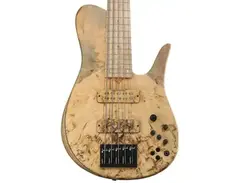 Fodera Imperial Elite 5-string Electric Bass Guitar main image