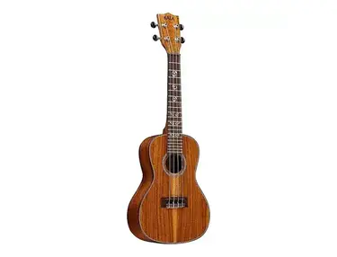 Kala KA-ASAC-C Solid Acacia Concert Ukulele