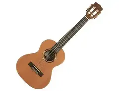 Kala KA-ASCP-T Solid Top Pau Ferro Tenor Ukulele main image