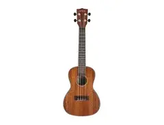 Kala KA-SMHC Solid Mahogany Concert Ukulele main image