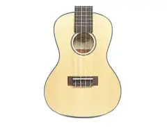 Kala KA-SSTU-C Spruce Concert Travel Ukulele main image