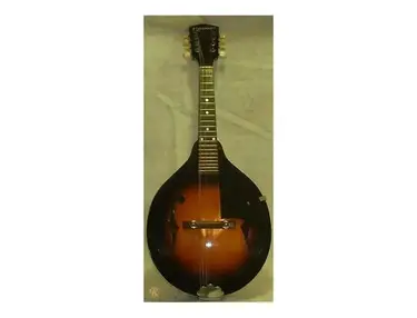 Kalamazoo Mandolin