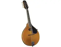 Kentucky KM-272 Deluxe Oval Hole A-Style Mandolin main image