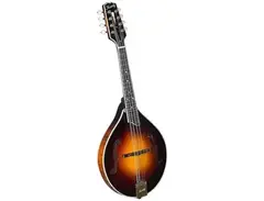 Kentucky KM-500 Artist A-Style Mandolin main image