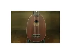 Kohala AK-SP Akamai Pineapple Soprano Ukulele main image