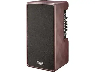 Laney A-Duo 2-Channel 120-Watt 2x8" Acoustic Guitar Combo