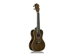 Lanikai MA-C Mahogany Concert Ukulele main image