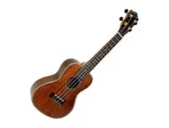 Lanikai NKTU-C Solid Koa TunaUke Concert Ukulele main image