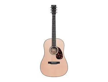Larrivee Legacy Series SD-40E