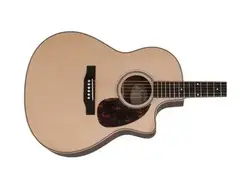 Larrivee Recording Series LV-03R main image