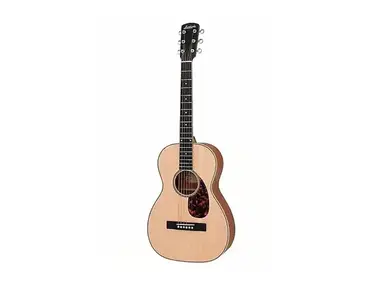 Larrivee Recording Series P-03