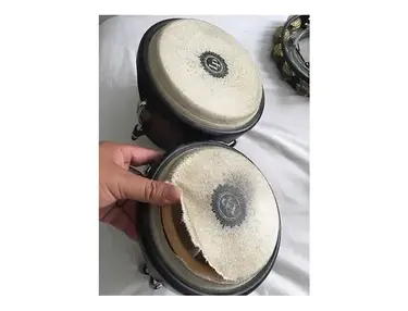 Latin Percussion LP601NY-DW City Series Wood Bongos