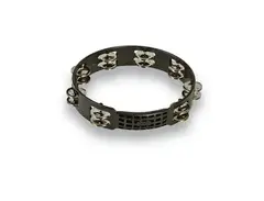 Latin Percussion LPA190 Aspire 10" Headless Plastic Tambourine w/ single Row Steel Jingles main image