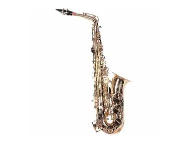 Lauren LAS100 Student Eb Alto Sax Outfit w/ Case