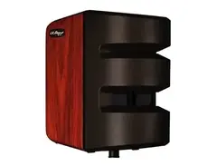 LR Baggs Synapse 500-Watt 2-Channel Personal PA System main image