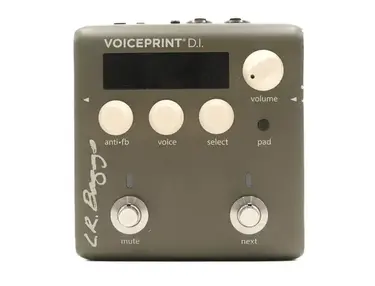 LR Baggs Voiceprint DI Acoustic Guitar Impulse Response Pedal