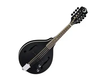 Luna BGM MOON A Moonbird A-Style Mandolin with Electronics