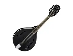Luna BGM MOON A Moonbird A-Style Mandolin with Electronics main image