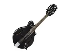 Luna BGM MOON F Moonbird F-Style Mandolin with Electronics main image