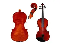 M. Ravel VLN100 3/4-Size Student Violin Outfit main image