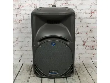 Mackie C300 12" 2-Way Passive Loudspeaker