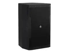 Mackie iP-12 12" 500-Watt Passive Speaker main image