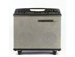 Magnatone M14 Custom Series 2-Channel 38-Watt 2x8" Stereo Guitar Combo with 2x3" Tweeters main image