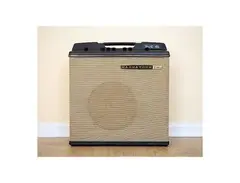 Magnatone M6 Custom Series 25-Watt 1x12" Guitar Combo main image