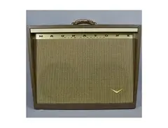 Magnatone Model 260A Custom 200 Series 2-Channel 35-Watt 2x12" Guitar Combo with Mellow / Bright Switches main image