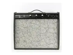 Magnatone Starlite Model 411 15-Watt 1x8" Guitar Combo main image