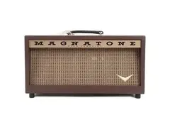 Magnatone Twilighter 22-Watt Guitar Amp Head main image