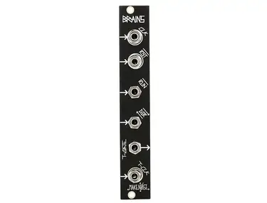 Make Noise Brains Module