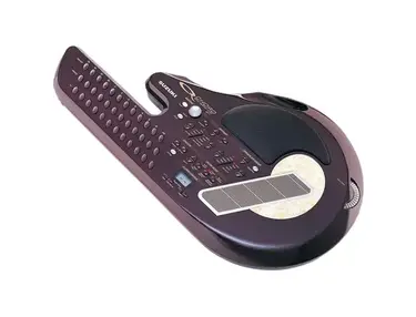 Suzuki QC-1 QChord