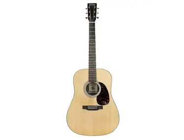 Martin Billy Strings Signature D-X2E