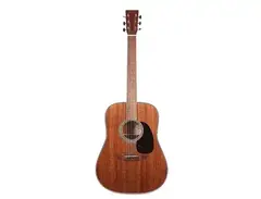 Martin D-19 190th Anniversary main image