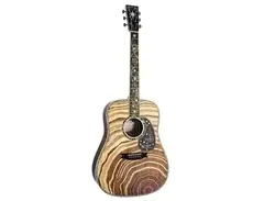 Martin D-300 main image