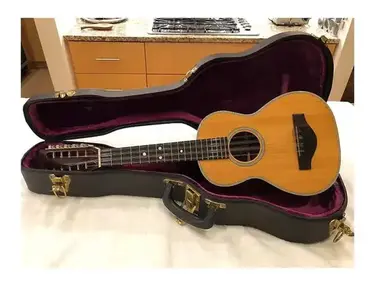 Martin T-28 Tiple