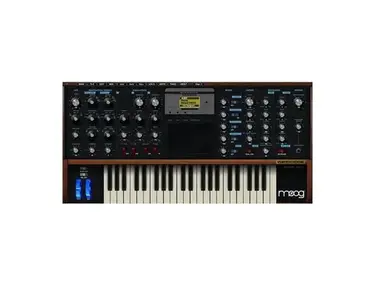 Moog Plug SE