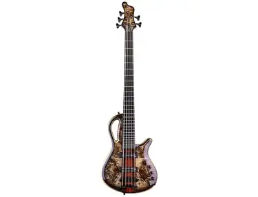 Mayones Caledonius 5
