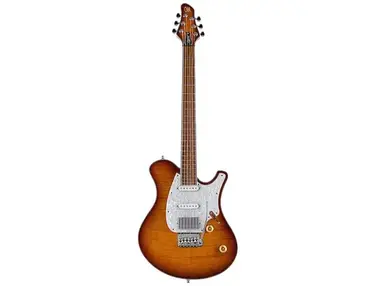 Mayones Legend V22 6