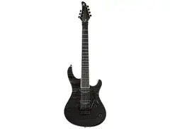 Mayones Regius PRO 7 main image