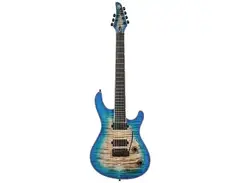 Mayones Regius V24 7 main image