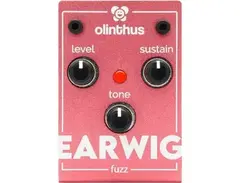 Olinthus Earwig Fuzz