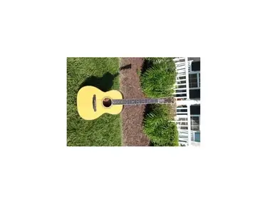 Valley Arts Larry Carlton Custom Acoustic Guitar