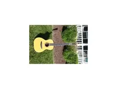 Valley Arts Larry Carlton Custom Acoustic Guitar
