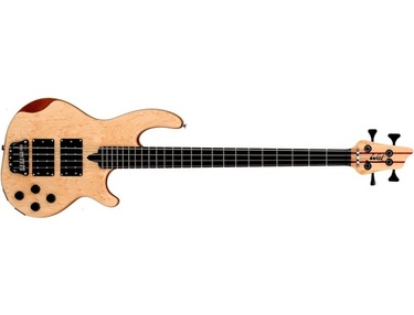 What Bass Guitar Does Justin Chancellor Play