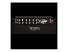 Mesa Boogie Recto-Verb 25 2-Channel 25-Watt Rackmount Guitar Amp Head main image