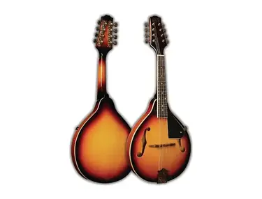 Morgan Monroe RT-M1 Rocky Top A-Style Mandolin
