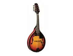 Morgan Monroe RT-M1E Rocky Top Electric Mandolin main image